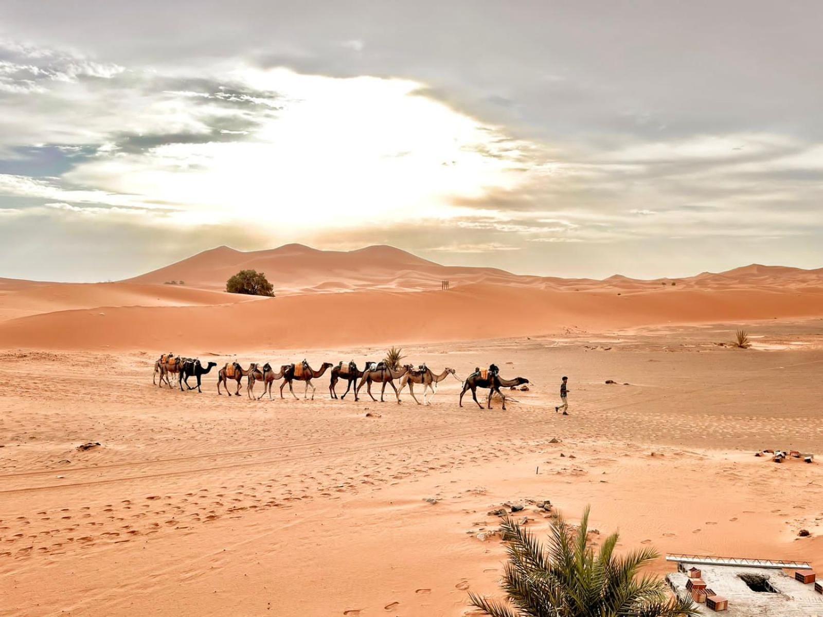 Auberge Ksar Merzouga Exterior foto